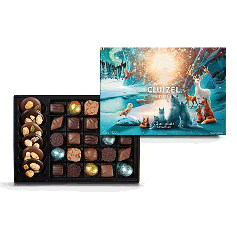 Cluizel Pralinenpackung Coffret Noir & Lait Königreich der Sonnenwende 335g